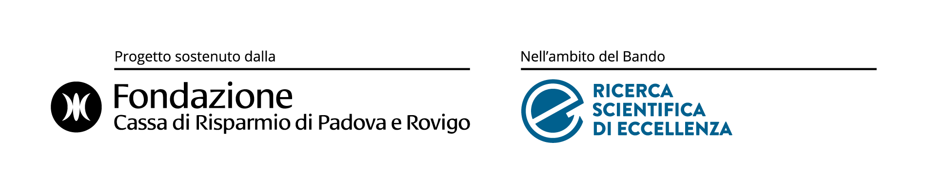 Logo Bando Ricerca Scientifica di Eccellenza della Fondazione Cassa di Risparmio di Padova e Rovigo